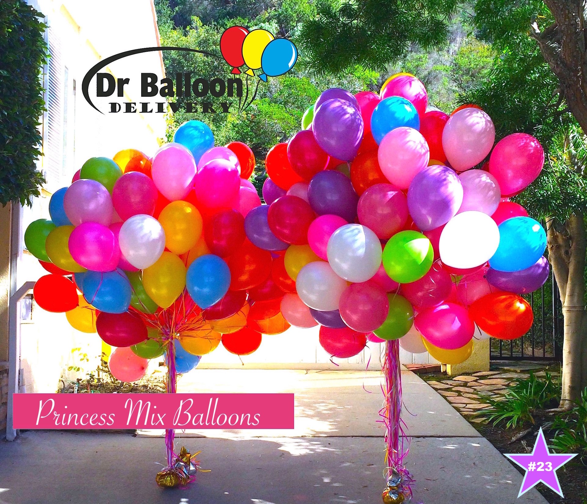Lyrisch langs moord Pacific Palisades Balloon Store - Balloon Delivery - Balloons & Delivery CA